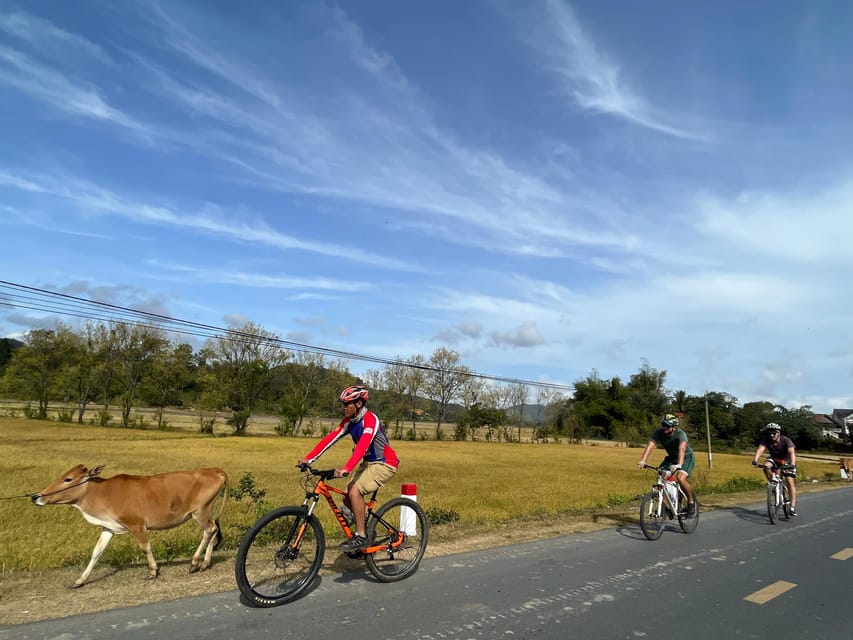 1 Day - Biking to Nha Trang - Mountain Biking Experience