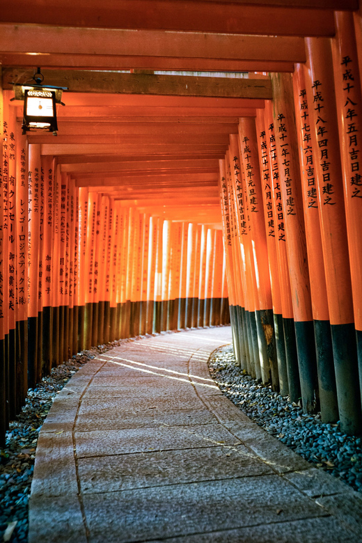 1 Day Kyoto to Nara: Penetrate Into Japanese Ancient Culture - Customer Experiences