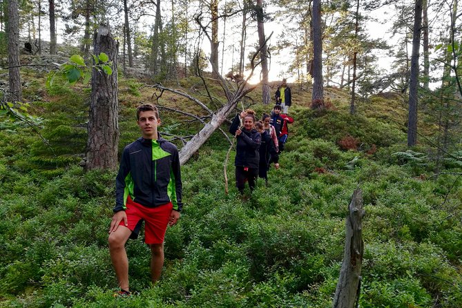 1-Day Small-Group Stockholm Nature Summer Hiking - Scenic Highlights