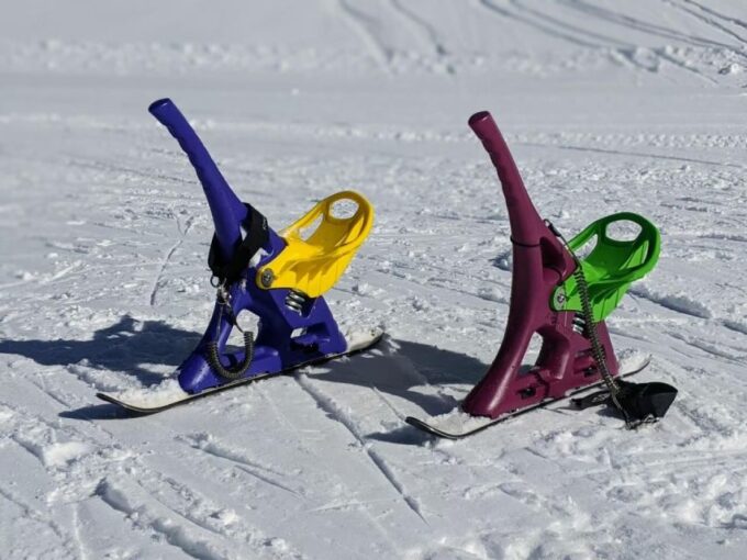 1 Day Tour: Snow Monkeys & Snow Fun in Shiga Kogen - Pricing and Booking