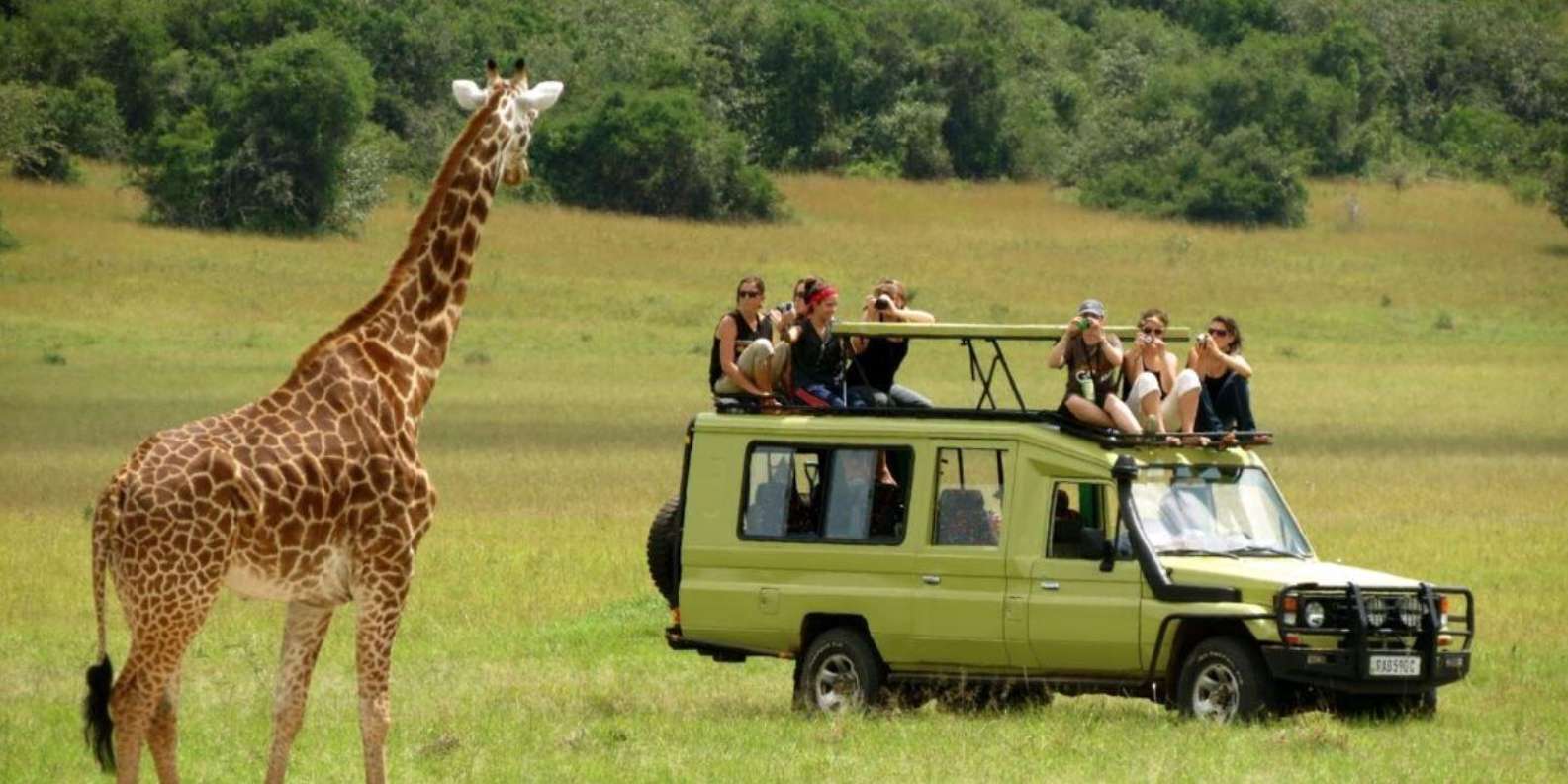 10 Day Safari - Johannesburg to Cape Town via Garden Route - Wine Tasting and Local Experiences