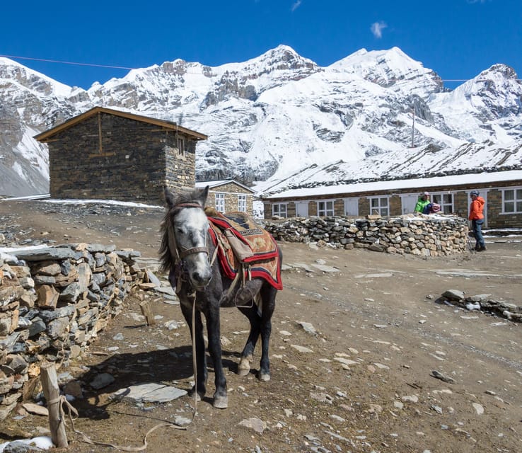 18 DAYS - ANNAPURNA CIRCUIT TREK - NO TIPS POLICY - Health and Safety Tips