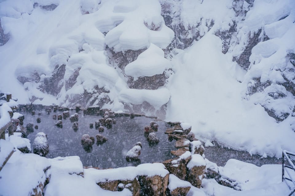 2-Day Snow Monkey Tour: Nagano To Takayama via Matsumoto - Important Information