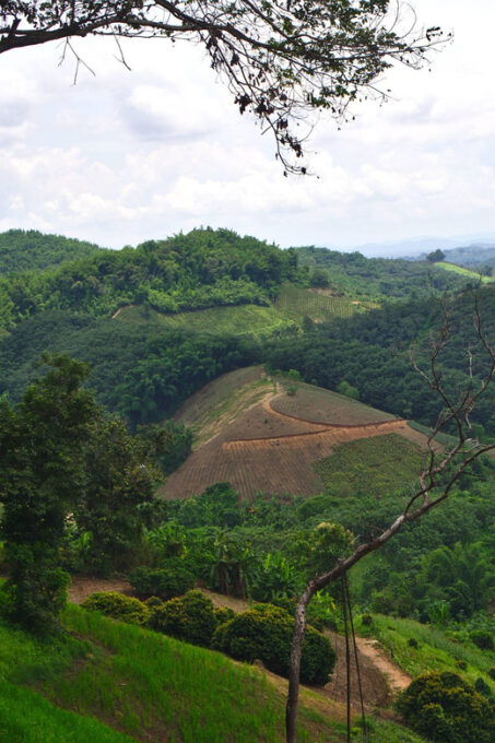 2 Days 1 Night Private Eco-Trekking Akha & Lahu Chiang Rai - Participant Restrictions