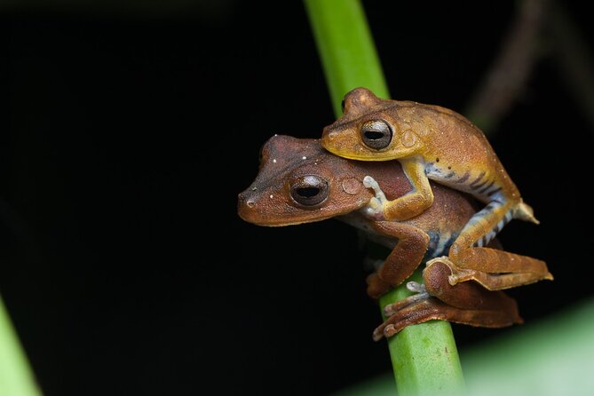 2 Full Days Exploring The Ecuadorian Amazon | Tour Start In Quito - Laguna Kawana Reserva and Cascadas De Latas