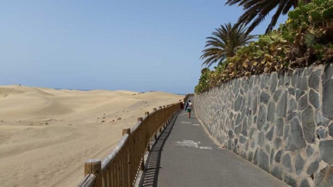 2-H Sunset or Morning Segway Experience Near by Sand Dunes - Customer Reviews