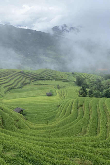 3-Day Ha Giang Loop Group Tour by Car, Motorbike & Easyrider - Transportation Options Available