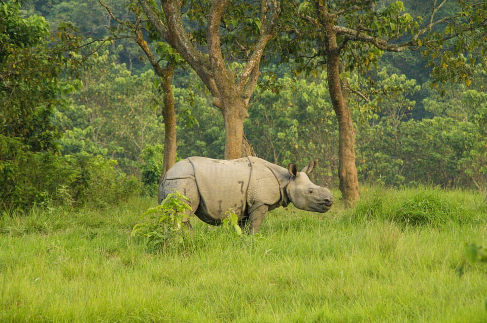 3 Days Chitwan Jungle Tour With Meals - Kathmandu & Pokhara - Meals Included