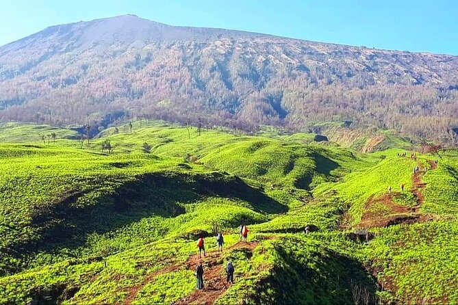 3D 2N Mount Rinjani Trekking Tour To Summit And Lake - Inclusions and Essentials