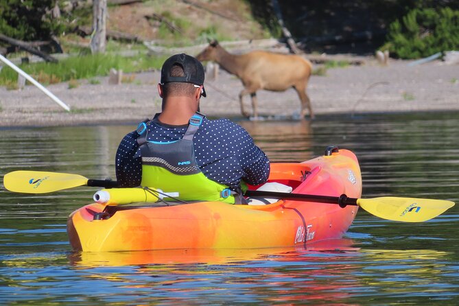 4-Hour Morning Kayak on Yellowstone Lake With Lunch - Health and Safety Guidelines