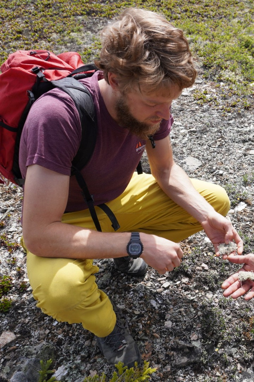 4 Hour Off-Trail Wilderness Wonders Tour in Denali - Historical Insights