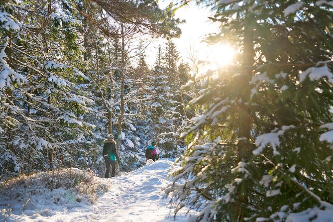 4 Hours Winter View of the Oslofjord Walk Tour - Tour Inclusions