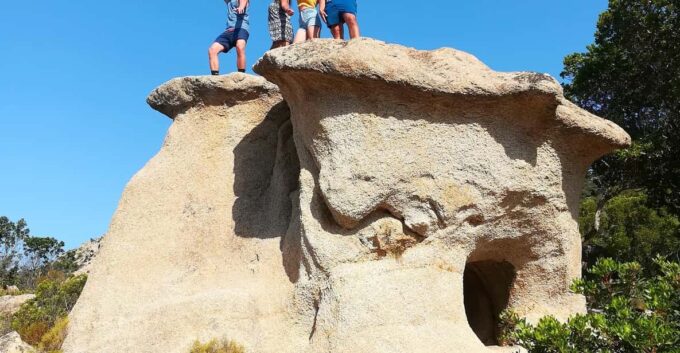 4x4 Tour Between Land and Sea - Orosei & Capo Comino - Beaches, Geology, and Wildlife