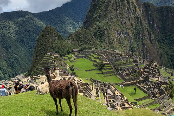 5 Days Tour to Machupicchu, Sacred Valley and Rainbow Mountain in Small Group - Textiles and Camelids