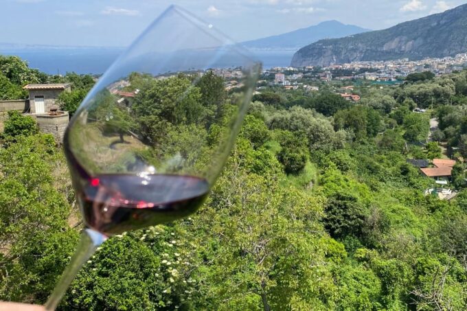 5 Wine Tastings With Typical Products in Sorrento Coast - Unique Wine Characteristics