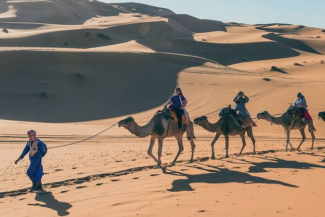 7 Days Luxury Desert Tour From Casablanca to Marrakech via Fez -Camel Trekking - Booking and Pricing