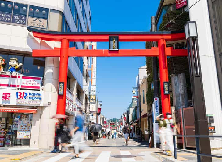 A Tour to Eat up All the Delicacies of Japan in Kamakura - Culinary Delights to Discover