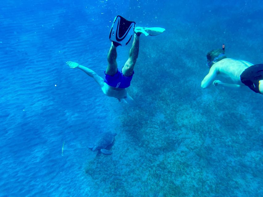 Abades: Guided Snorkeling Tour With Photos - Meeting Point