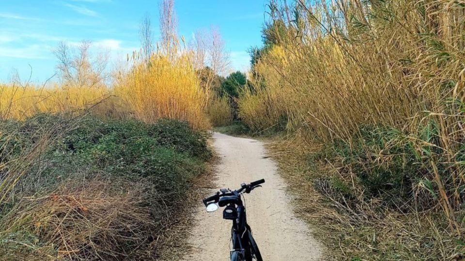 Active Bike Tour: River Turia Natural Park. - Route Features and Terrain