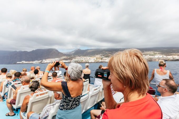 Adeje: Whale and Dolphin Watching With Lunch and Swimming - Participant Requirements and Accessibility