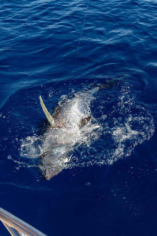 Adriatic Tuna Fishing Adventure With Nautica Massetti - What to Bring