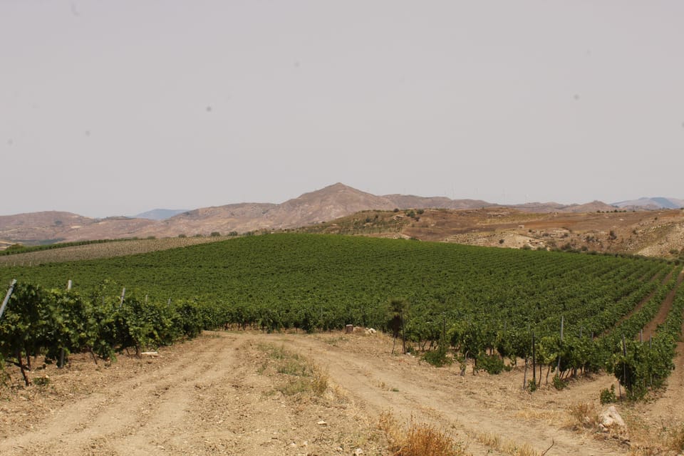 Agrigento: Wine Tasting and Walk in the Vineyards. - Reservation and Cancellation