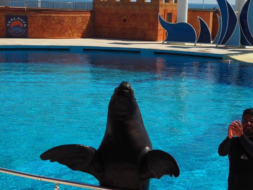 Alanya: Dolphin and Sea Lion Show at Sealanya Dolphin Park - Frequently Asked Questions