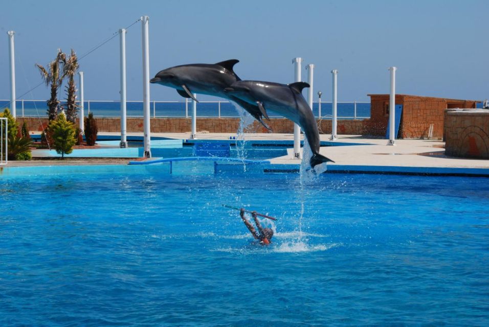 Alanya: Dolphin and Seal Show Ticket With Hotel Transfers - Tips for a Great Experience