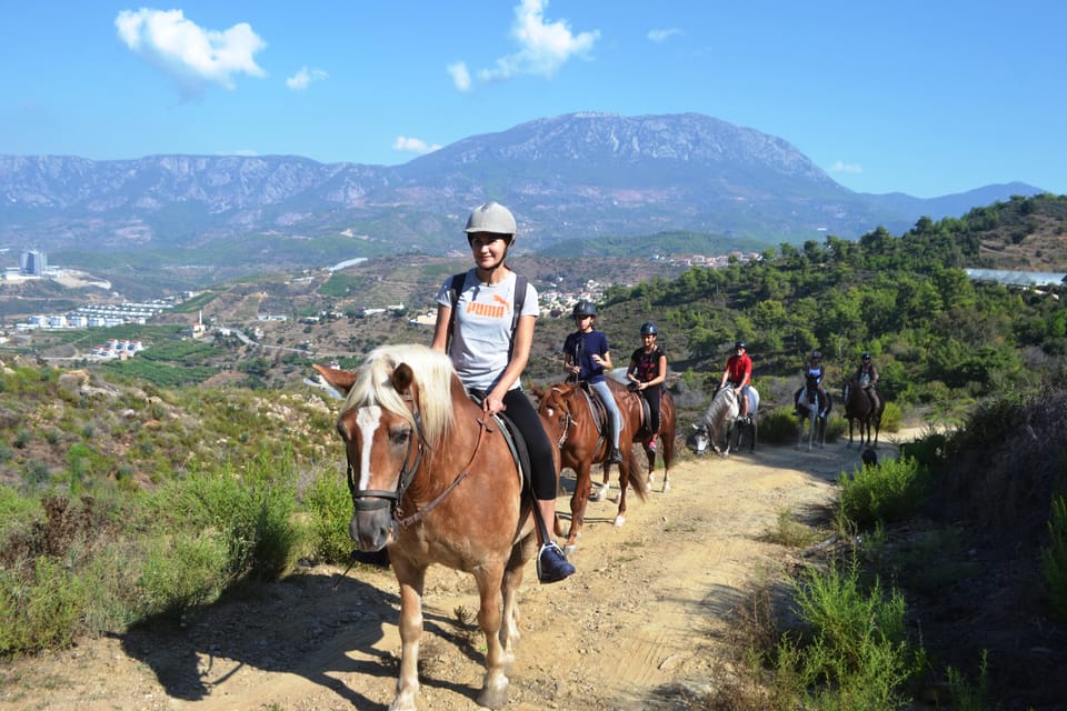 Alanya: Horse Riding Club Transfer Service - What to Expect