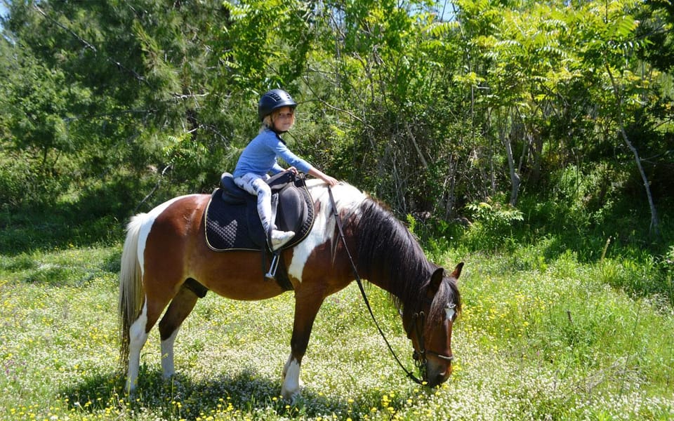 Alanya: Private Horse Safari - Exploring Alanyas Scenery