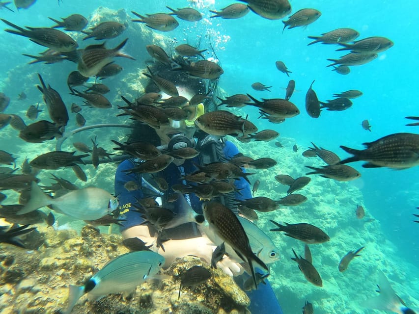 Alanya Scuba Diving Adventure - What to Expect