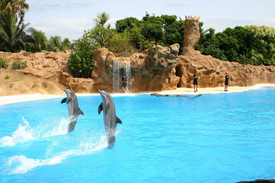 Alanya: Sealanya Dolphinpark Dolphin Show Tour - Tips for Visitors