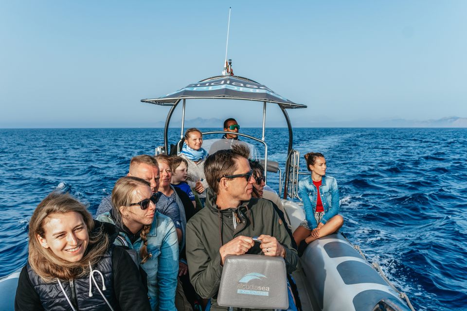 Alcudia/Can Picafort: Dolphin-Watching Cruise in Small Group - UNESCO World Heritage Site