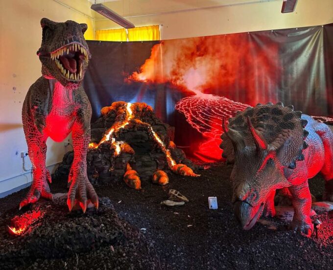 Alghero: Discover Dinosaurs in Porto Conte Park - Visitor Feedback