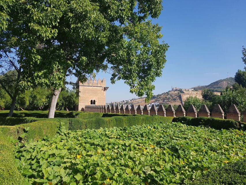 Alhambra: Generalife Gardens & Alcazaba Fast-Track Tour - Customer Reviews