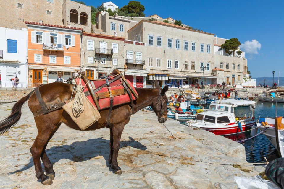 All-Day Private Excursion to Hydra Island From Athens - Additional Costs and Fees