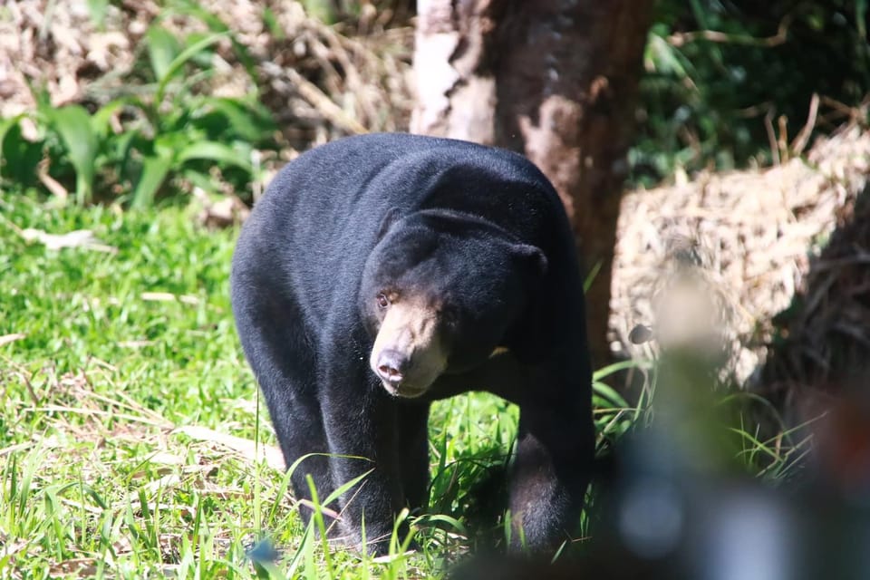 All Inclusive Wildlife Observation & Birdwatching Adventure - Booking and Payment Options