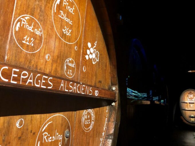 Alsace: Guided Wine Tasting and Cellar Visit - Visitor Feedback