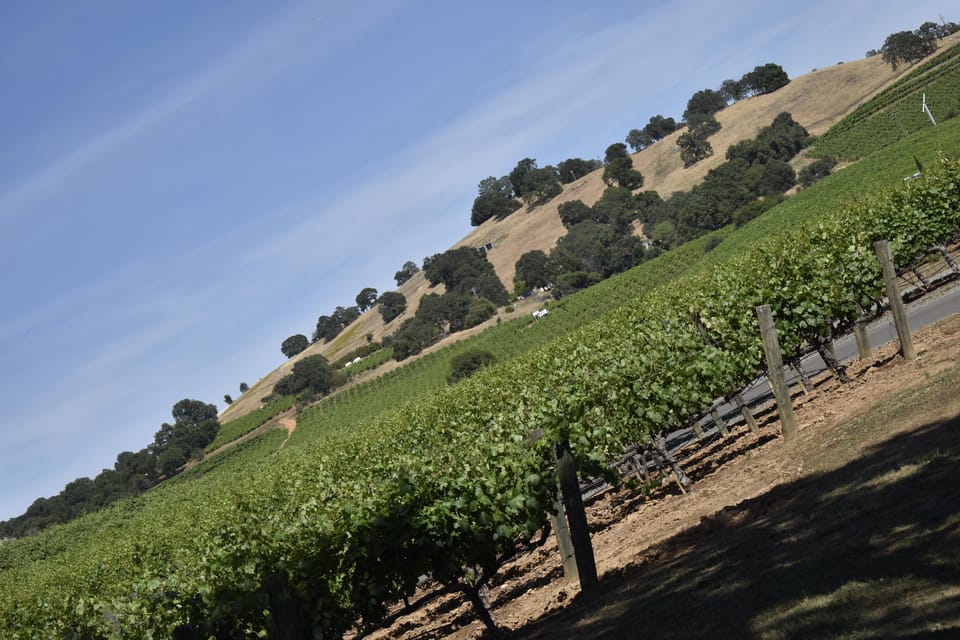 Amador County Wine Tasting Tour Private Tour 1 To 14 Group - Exclusions to Consider