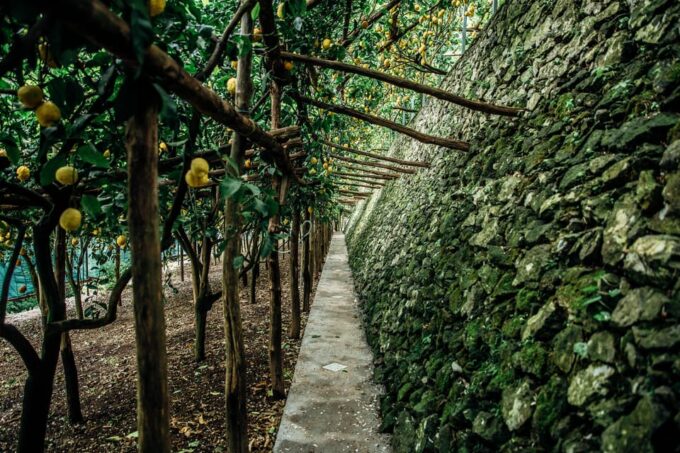 Amalfi: Vertical Lemon Farm Tour, Tastings, and Rural Museum - Frequently Asked Questions