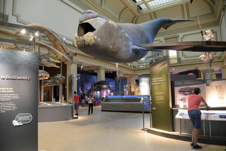 American History/Natural History Museum Combo Guided Tour - Museum of American History