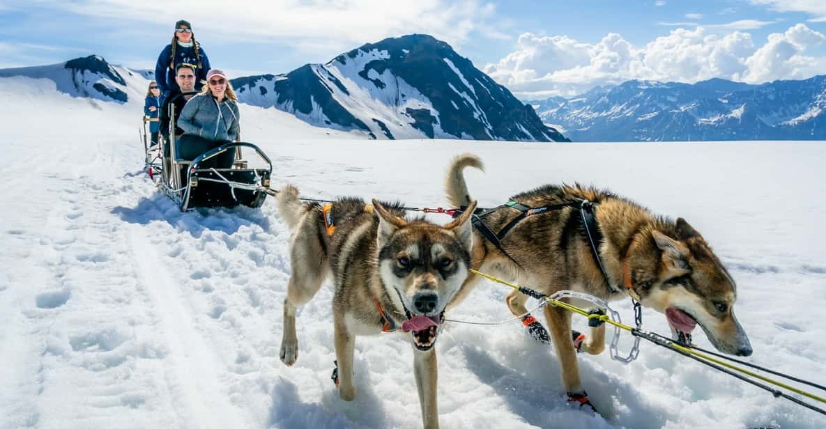 Anchorage Area: Helicopter and Glacier Dogsled Tour - Wildlife Viewing Opportunities