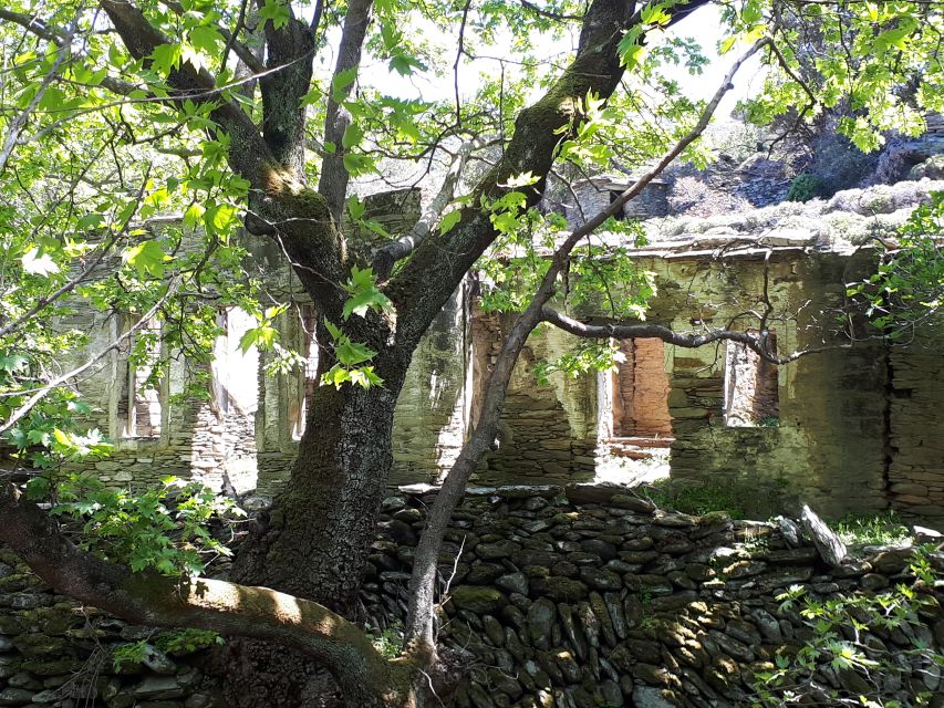 Andros Watermills Guided Hiking Tour - Watermills and Abandoned Homes