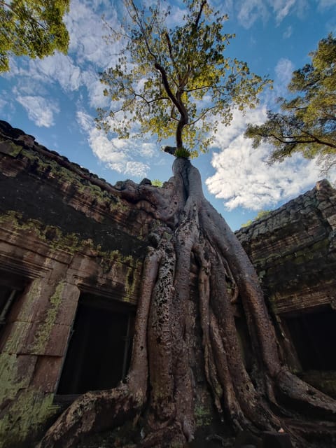 Angkor Wat Imaginary Experience - Tips for Your Visit