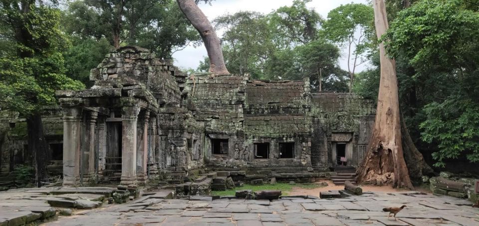 Angkor Wat Temples Tour by Car With Optional Sunrise - Inclusions and Exclusions