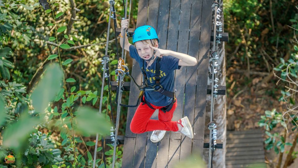 Angkor Zipline Eco-Adventure Canopy Tour - What to Expect