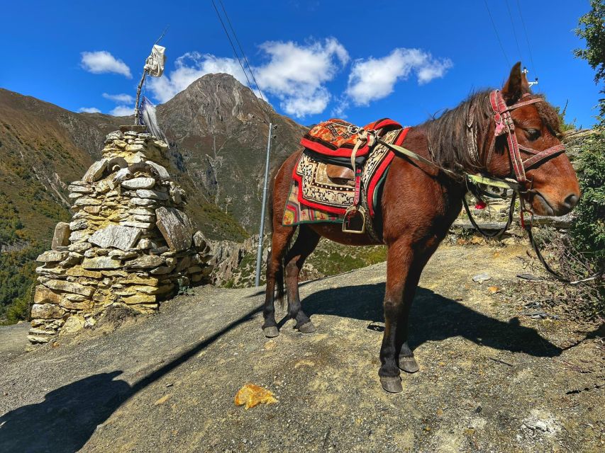 Annapurna Circuit Trek - 12 Days - Booking and Cancellation Policy