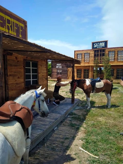 Antalya Belek Kundu Lara: Horse Riding & Horse Safari - Customer Feedback and Ratings