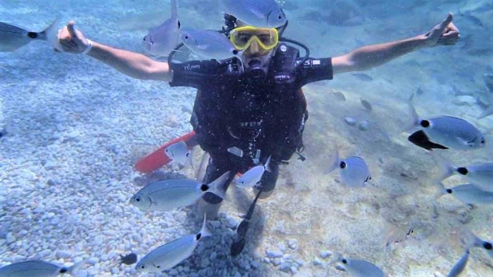 Antalya/ Belek: Scuba Diving Tour With 2 Time Dive & Lunch - Tips for an Enjoyable Experience