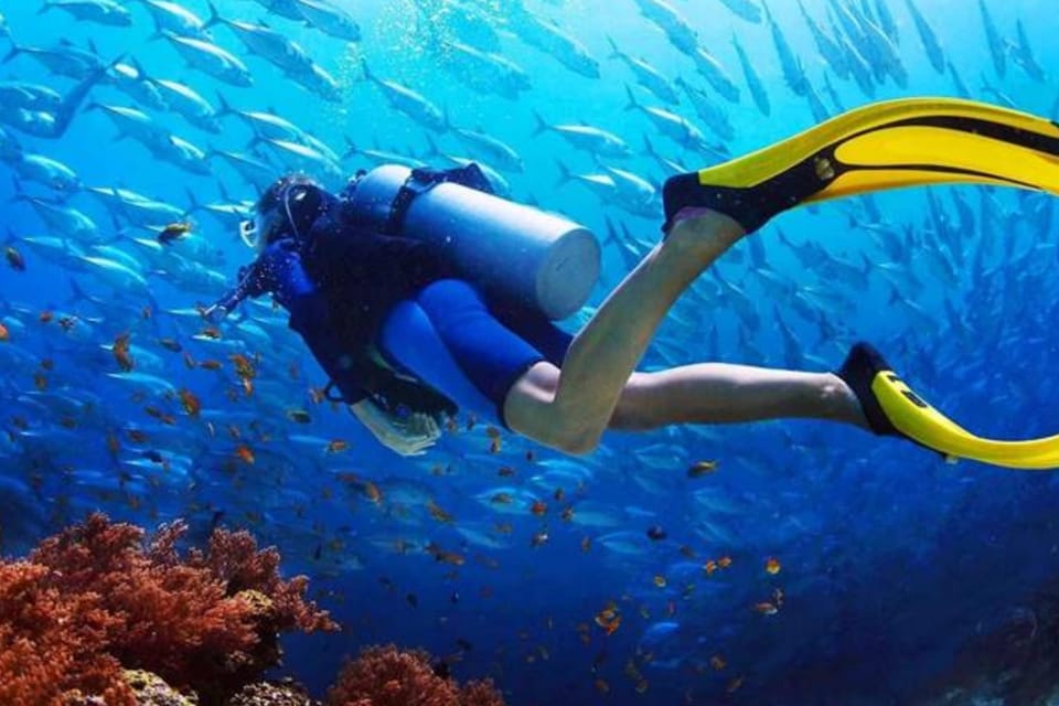 Antalya Exotic & Colourful Diving Tour - Booking Information